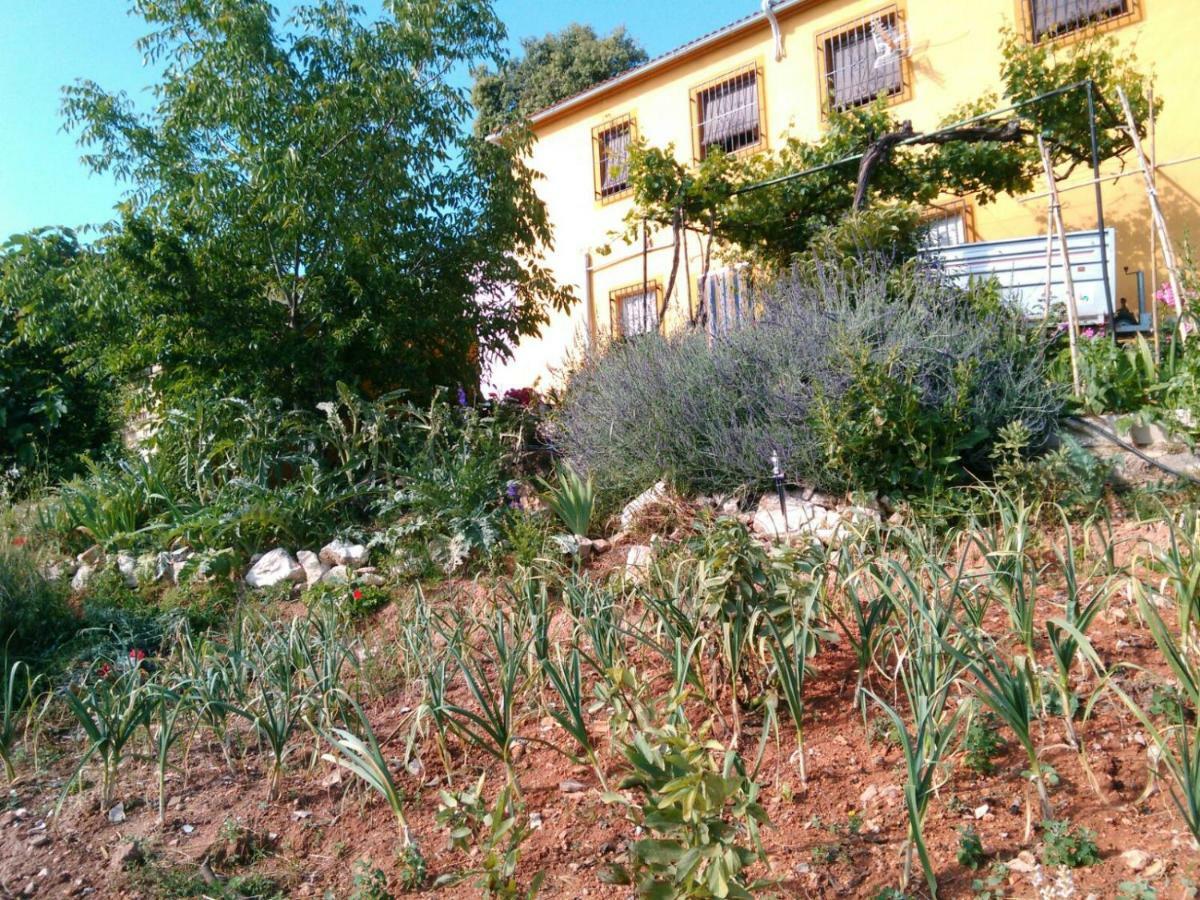 Iznájar Cortijo De La Cruzヴィラ エクステリア 写真